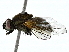  ( - BIOUG91350-D06)  @11 [ ] CreativeCommons - Attribution (2022) CBG Photography Group Centre for Biodiversity Genomics