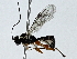  ( - BIOUG91351-G12)  @11 [ ] CreativeCommons - Attribution (2022) CBG Photography Group Centre for Biodiversity Genomics