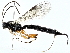  ( - BIOUG91352-A08)  @11 [ ] CreativeCommons - Attribution (2022) CBG Photography Group Centre for Biodiversity Genomics