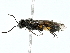  ( - BIOUG91352-H07)  @11 [ ] CreativeCommons - Attribution (2022) CBG Photography Group Centre for Biodiversity Genomics