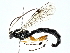  ( - BIOUG91352-H10)  @11 [ ] CreativeCommons - Attribution (2022) CBG Photography Group Centre for Biodiversity Genomics