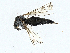  ( - BIOUG99522-G04)  @11 [ ] CreativeCommons - Attribution (2023) CBG Photography Group Centre for Biodiversity Genomics