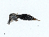  ( - BIOUG99522-G07)  @11 [ ] CreativeCommons - Attribution (2023) CBG Photography Group Centre for Biodiversity Genomics