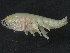  ( - CBG-A00291-D11)  @11 [ ] CreativeCommons - Attribution (2023) CBG Photography Group Centre for Biodiversity Genomics