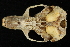  ( - HLC-16322)  @12 [ ] CreativeCommons - Attribution (2012) CBG Photography Group Centre for Biodiversity Genomics