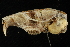  ( - HLC-16322)  @12 [ ] CreativeCommons - Attribution (2012) CBG Photography Group Centre for Biodiversity Genomics