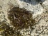  ( - ABRL-201)  @11 [ ] Unspecified (default): All Rights Reserved (2023) Neil J. Shah M/s. Pushpa J. Shah