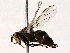  ( - BIOUG73658-A01)  @11 [ ] CreativeCommons - Attribution (2022) CBG Photography Group Centre for Biodiversity Genomics