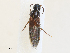  ( - CBG-A27570-A02)  @11 [ ] CreativeCommons - Attribution Share - Alike (2024) CBG Photography Group Centre for Biodiversity Genomics