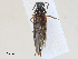  ( - CBG-A27573-E01)  @11 [ ] CreativeCommons - Attribution Share - Alike (2024) CBG Photography Group Centre for Biodiversity Genomics