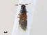  ( - CBG-A27576-B04)  @11 [ ] CreativeCommons - Attribution Share - Alike (2024) CBG Photography Group Centre for Biodiversity Genomics