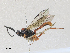  ( - CBG-A27576-G05)  @11 [ ] CreativeCommons - Attribution Share - Alike (2024) CBG Photography Group Centre for Biodiversity Genomics