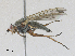  ( - CBG-A28408-F03)  @11 [ ] CreativeCommons - Attribution Share - Alike (2024) CBG Photography Group Centre for Biodiversity Genomics