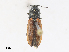  ( - CBG-A28409-H04)  @11 [ ] CreativeCommons - Attribution Share - Alike (2024) CBG Photography Group Centre for Biodiversity Genomics