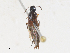  ( - CBG-A28409-H06)  @11 [ ] CreativeCommons - Attribution Share - Alike (2024) CBG Photography Group Centre for Biodiversity Genomics