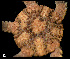  ( - ACAP085)  @11 [ ] Unspecified (default): All Rights Reserved  Unspecified Unspecified