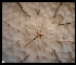  ( - ACAP085)  @11 [ ] Unspecified (default): All Rights Reserved  Unspecified Unspecified