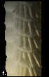  ( - ACAP107)  @12 [ ] Unspecified (default): All Rights Reserved  Unspecified Unspecified