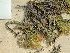  ( - HS1567)  @11 [ ] No Rights Reserved  Unspecified Unspecified
