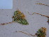  ( - HS1681)  @12 [ ] No Rights Reserved  Unspecified Unspecified