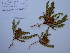  ( - HS1756)  @12 [ ] No Rights Reserved  Unspecified Unspecified
