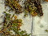  ( - HS1564)  @11 [ ] No Rights Reserved  Unspecified Unspecified