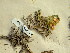  ( - HS1585)  @11 [ ] No Rights Reserved  Unspecified Unspecified