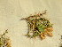  ( - HS1768)  @11 [ ] No Rights Reserved  Unspecified Unspecified