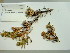  ( - HS1770)  @12 [ ] No Rights Reserved  Unspecified Unspecified
