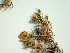  ( - HS1770)  @12 [ ] No Rights Reserved  Unspecified Unspecified