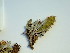  ( - HS1818)  @11 [ ] No Rights Reserved  Unspecified Unspecified