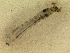  ( - ACBB712)  @11 [ ] Unspecified (default): All Rights Reserved  Unspecified Unspecified