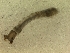  ( - ACBB732)  @12 [ ] Unspecified (default): All Rights Reserved  Unspecified Unspecified