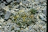  ( - GE02234.6)  @11 [ ] Copyright  Salvador Arias Unspecified