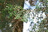  ( - GE02360)  @11 [ ] Copyright  David Gernandt Unspecified