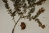  ( - GE02222)  @11 [ ] Copyright (2009) David Gernandt Unspecified