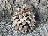  ( - GE02205)  @11 [ ] Copyright (2009) David Gernandt Unspecified