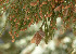  ( - GE02201)  @11 [ ] Unspecified (default): All Rights Reserved  Unspecified Unspecified