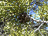  ( - GE02203)  @11 [ ] Unspecified (default): All Rights Reserved  Unspecified Unspecified