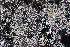 ( - GE02202)  @11 [ ] Unspecified (default): All Rights Reserved  Unspecified Unspecified