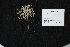  ( - GE02202)  @11 [ ] Copyright (2009) David Gernandt Unspecified