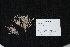  ( - GE02206)  @11 [ ] Copyright (2009) David Gernandt Unspecified