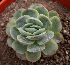  ( - GE02390)  @11 [ ] Copyright (2010) J. Reyes 2012 Unspecified