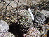  ( - GE02437)  @11 [ ] Copyright  Salvador Arias Unspecified