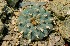  ( - GE02463)  @11 [ ] Copyright  Salvador Arias Unspecified