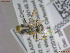  ( - UAMObs:Ento:245450)  @11 [ ] CreativeCommons  Attribution Non-Commercial No Derivatives (2022) Derek Sikes University of Alaska Museum