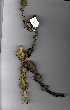  ( - RBN263)  @11 [ ] No Rights Reserved  Unspecified Unspecified