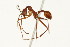  ( - 08COSTA-0799)  @14 [ ] Unspecified (default): All Rights Reserved  Unspecified Unspecified