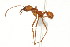  ( - 08COSTA-0874)  @13 [ ] Unspecified (default): All Rights Reserved  Unspecified Unspecified