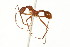  ( - 08COSTA-0910)  @13 [ ] Unspecified (default): All Rights Reserved  Unspecified Unspecified